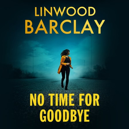 No Time For Goodbye