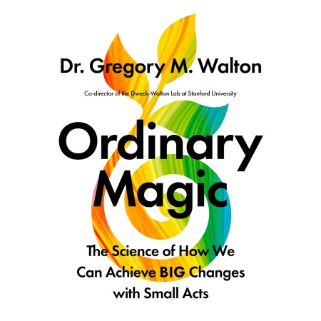 Ordinary Magic