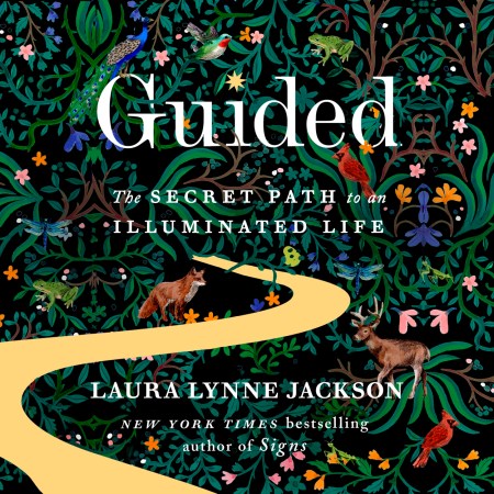 Guided