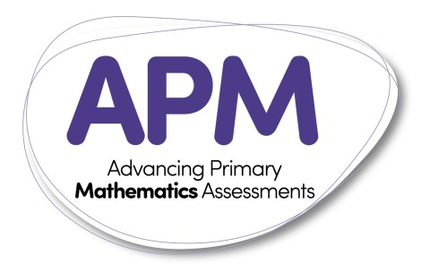 Advancing Primary Mathematics – Digital Credit