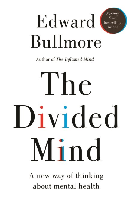The Divided Mind