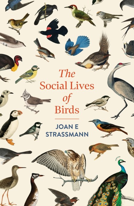 The Social Lives of Birds