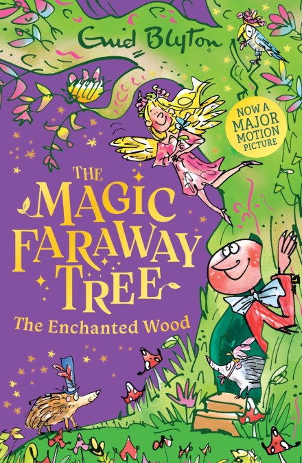 The Magic Faraway Tree: The Enchanted Wood