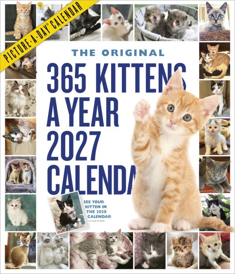 365 Kittens-A-Year Picture-A-Day® Wall Calendar 2027