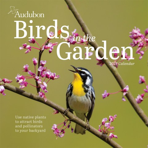 Audubon Birds in the Garden Wall Calendar 2027