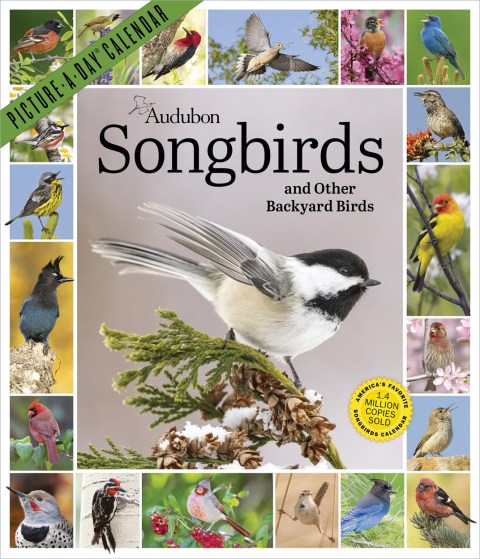 Audubon Songbirds and Other Backyard Birds Picture-A-Day® Wall Calendar 2027