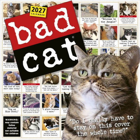 Bad Cat Wall Calendar 2027