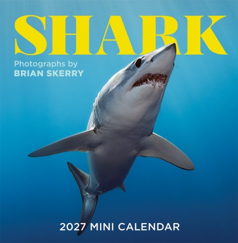 Shark Mini Wall Calendar 2027