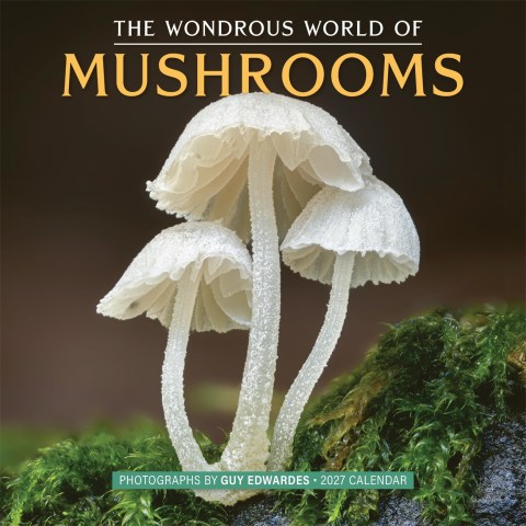 The Wondrous World of Mushrooms Wall Calendar 2027