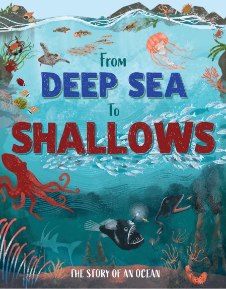 From Deep Sea to Shallows: The Story of Oceans